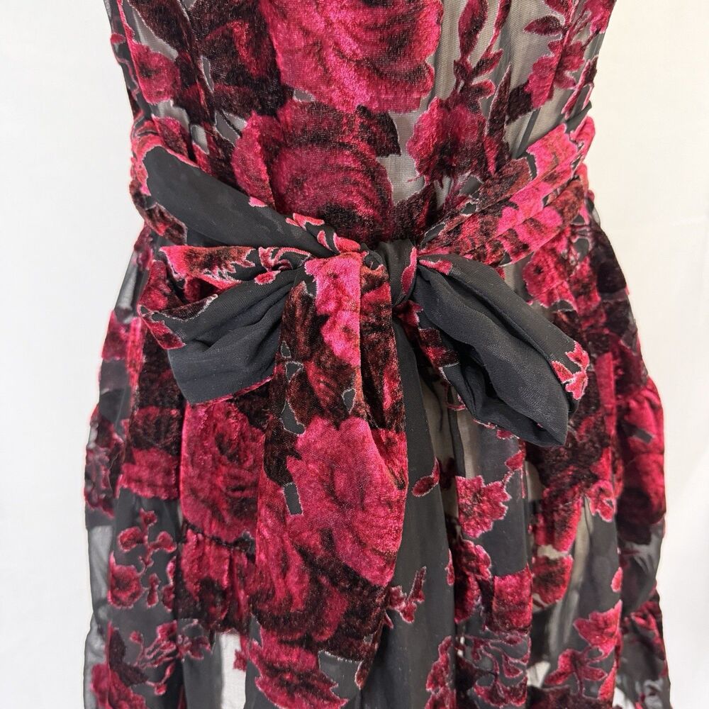 Betsey Johnson Collection! Classic Tiered Vintage Dress Velvet Roses 8 USA Sheer - Picture 5 of 6